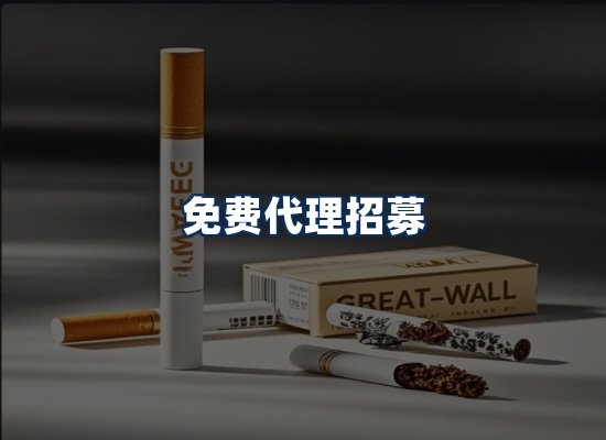 专业团队办公环境